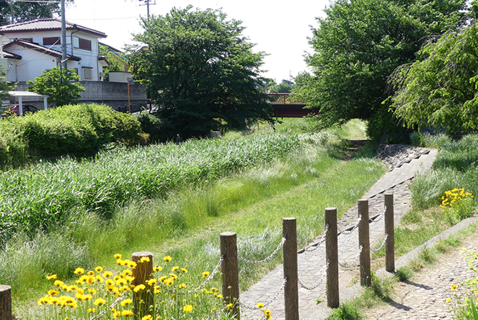 東京ジブリ　野川公園